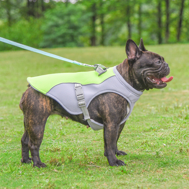 Summer Dog Cooling Vest – Breathable, Heat-Resistant Clothes for Small & Large Dogs